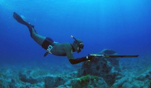 Подводная охота с отличным прозраком