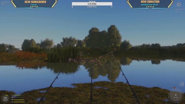 Stickleback and Loach Active Spot | Stream Highlight | Dec 3, 2022 смотреть онлайн