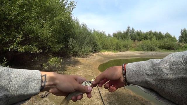 НАЛОВИЛ КАРАСЕЙ В ЛУЖЕ! Рыбалка на поплавок в конце лета смотреть онлайн