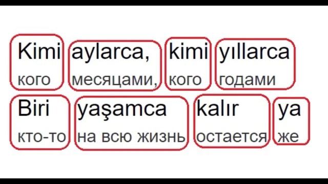 Турецкий по песням и караоке Ajda pekkan "Son yolcu" смотреть онлайн