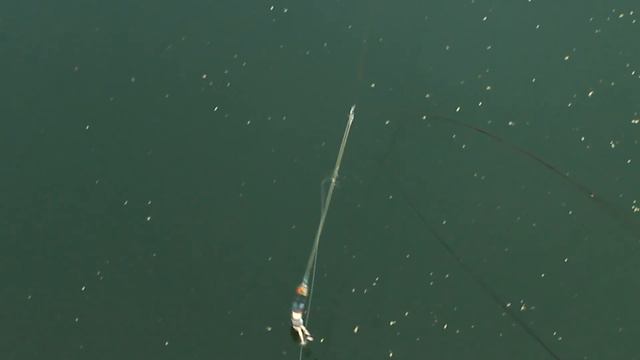 Безумный прыжок головой в воду с моста 40 м смотреть онлайн