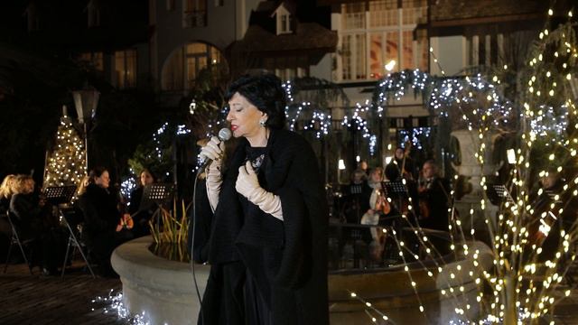 Nani Bregvadze - თბილისის ღამე/Tbilisis Ghame (Gardenia Shevardnadze, 2023 New Year)