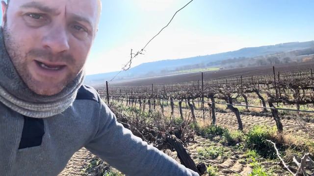 Je passe la TRP (taille Rase de Précision) dans les vignes смотреть онлайн