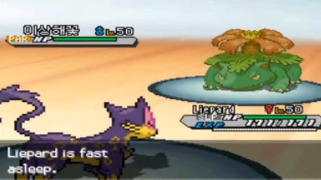Pokemon Wi-Fi #240 смотреть онлайн