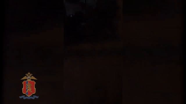 Красноярские воры угонщики смотреть онлайн