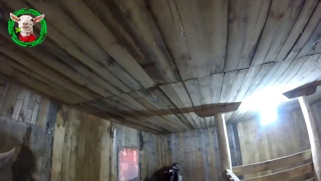 Правильный потолок в нашем козлятнике смотреть онлайн