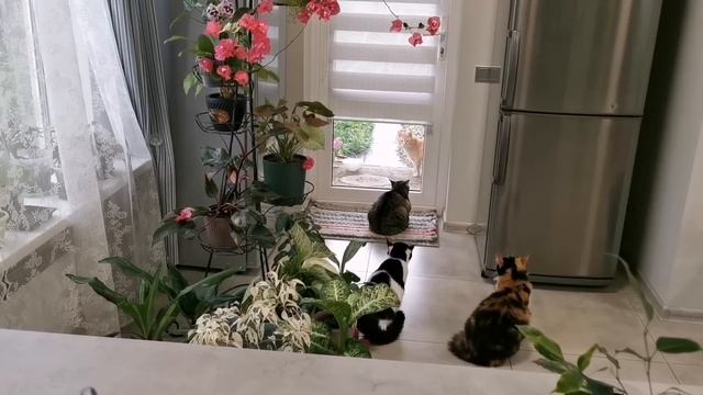 Пасхальные куличи на растительном масле смотреть онлайн