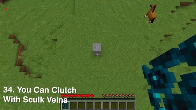 I Busted 64 Myths in Minecraft 1.19! смотреть онлайн