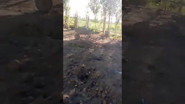 Варзик дача смотреть онлайн