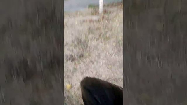 Убийца анаконда(3) смотреть онлайн