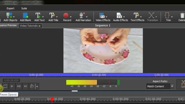 VideoPad Video Editor Tutorial: How to Create Time Lapse Effect / Speed Up a Video смотреть онлайн