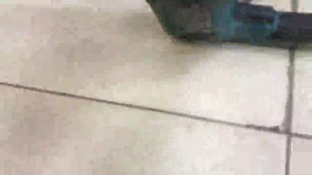 Видео №548448 смотреть онлайн