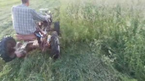 Мотоблок zubr конная косилка