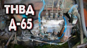 Ремонт ТНВД СВОИМИ РУКАМИ / Меняем РЕМКОМПЛЕКТ НА ТНВД / д65 ЮМЗ