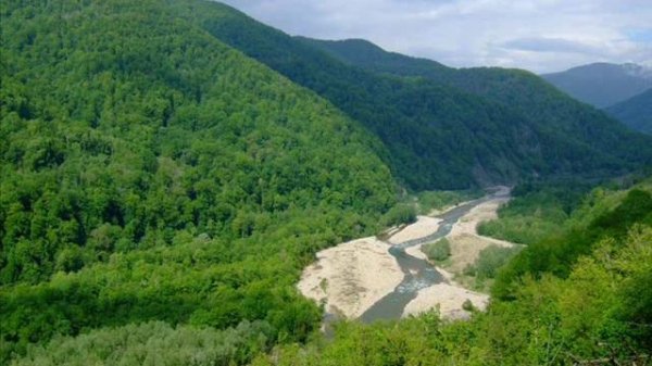 Шапсугия моя