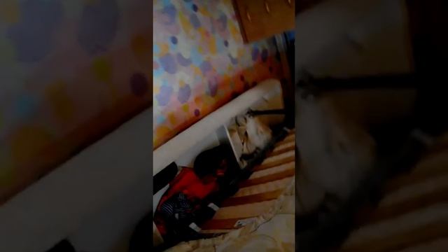 Моя с сестрой комнат смотреть онлайн