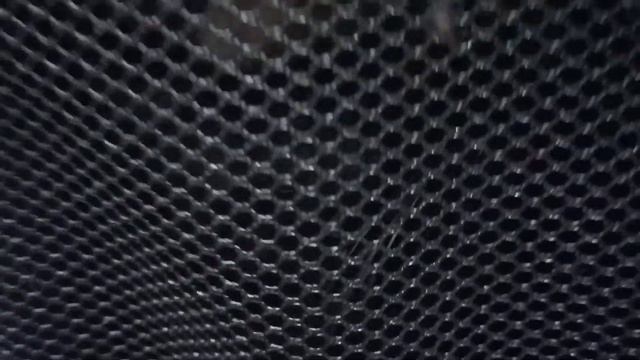 Наш кот Нас не Узнал 🤭🤦♀️😉 смотреть онлайн