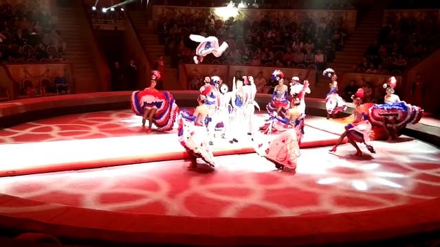 Петербургский цирк - Канкан смотреть онлайн