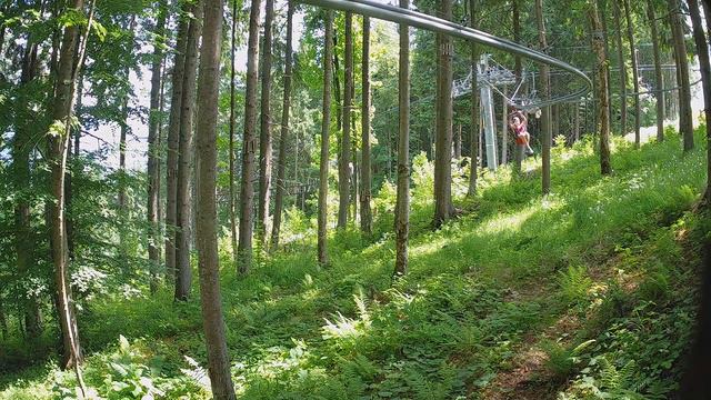 2019 06 16 34 export смотреть онлайн