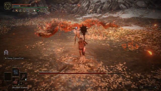 Cold Great Stars +25 for Malenia смотреть онлайн