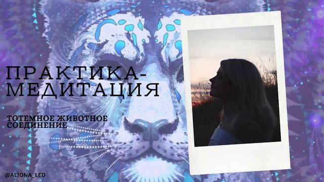 Тотемное животное (соединение с тотемным животным) смотреть онлайн