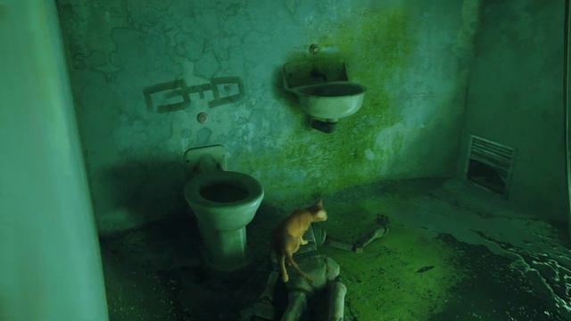 Где лучшие тусовки? // Stray #10 смотреть онлайн