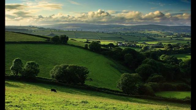 Bozza Image смотреть онлайн