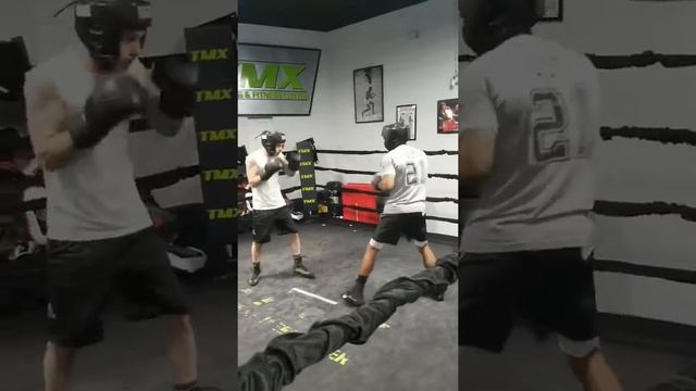 Pre fight sparring смотреть онлайн