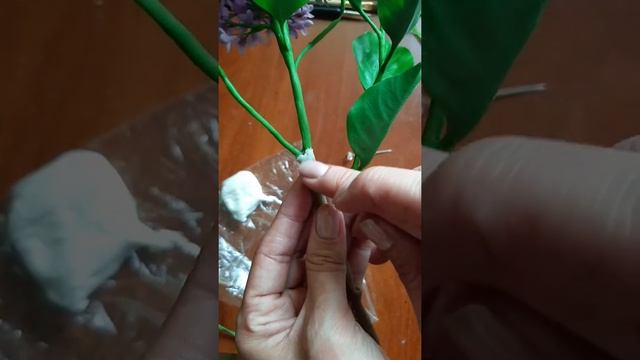 мк ветка сирени ч5 смотреть онлайн