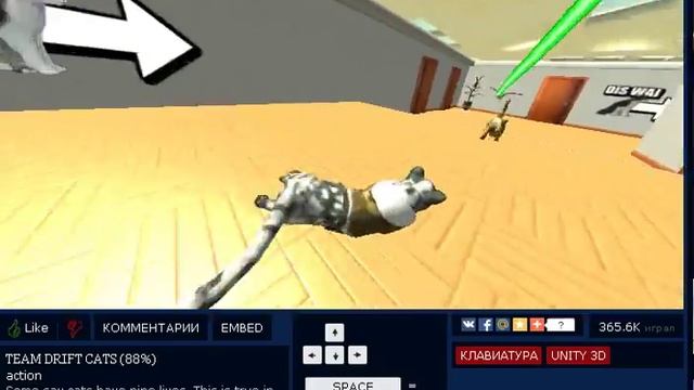 дрифт коты! (Team Drift Cats) смотреть онлайн