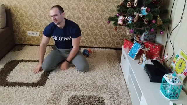 Наш щенок Джек Рассел Терьера 3 месяца / Playing with a 3 month puppy Jack Russell Terrier смотреть онлайн