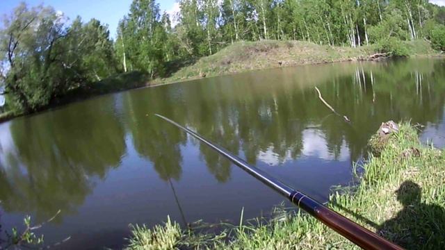 Весенняя ловля карася в Подмосковье смотреть онлайн