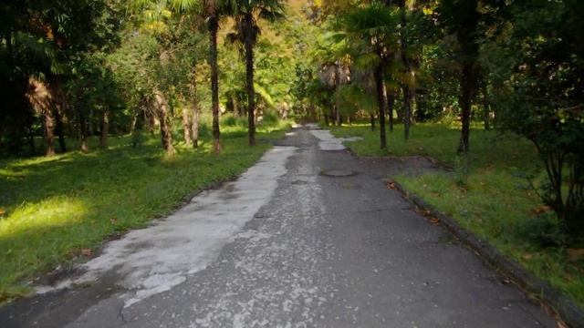 Сухум. Синопский парк, 30.09.19. смотреть онлайн