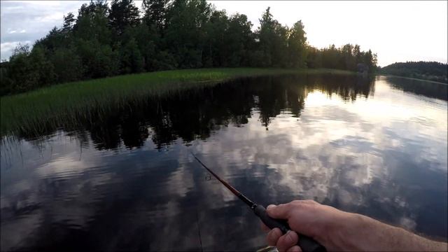 Схватила щука на 3 кг. Сработал ярко- зеленый воблер.