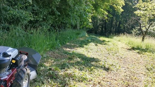 2021 06 10 Hecht 5060 Wiesenmäher / Hochgrasmäher Erster Einsatz смотреть онлайн