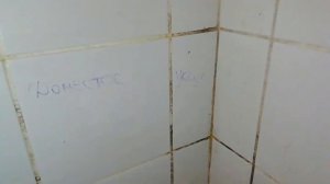 Как  ЛЕГКО ИЗБАВИТЬСЯ ОТ ЧЁРНОЙ ПЛЕСЕНИ ГРИБКА в ванной / Какие средства эффективны?!