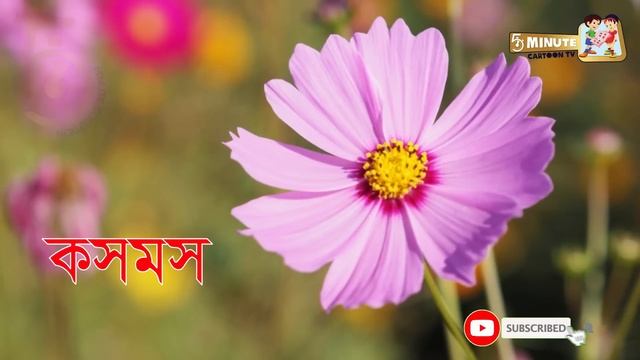 75টি ফুলের নাম বাংলা এবং ইংরেজীতে | 75 Flowers name with pictures Bengali and English for kids смотреть онлайн