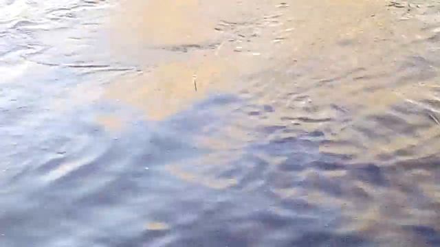 Рыбалка на удочку. смотреть онлайн