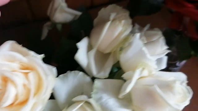 Букет подмосковных тепличных роз пошёл на черенки для укоренения. 09.03.2023 смотреть онлайн