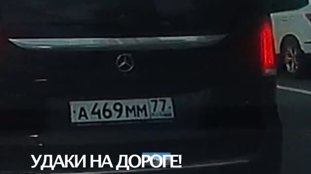 Нам все можно - идите в жопу! смотреть онлайн