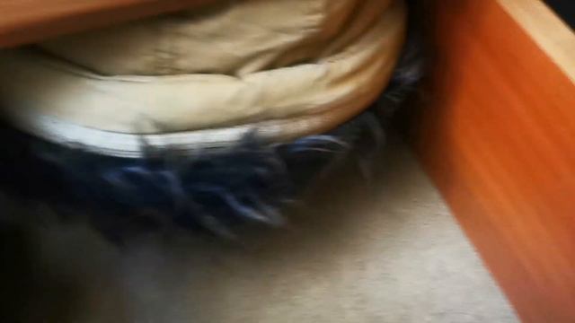 ?ЗБИРАЄМО ЧОРНИЦЮ в ЛІСІ? ЗІБРАЛА ЧАСНИК| ПОРЯДОК ДИТЯЧИХ РЕЧЕЙ|ГОТУЮ смотреть онлайн