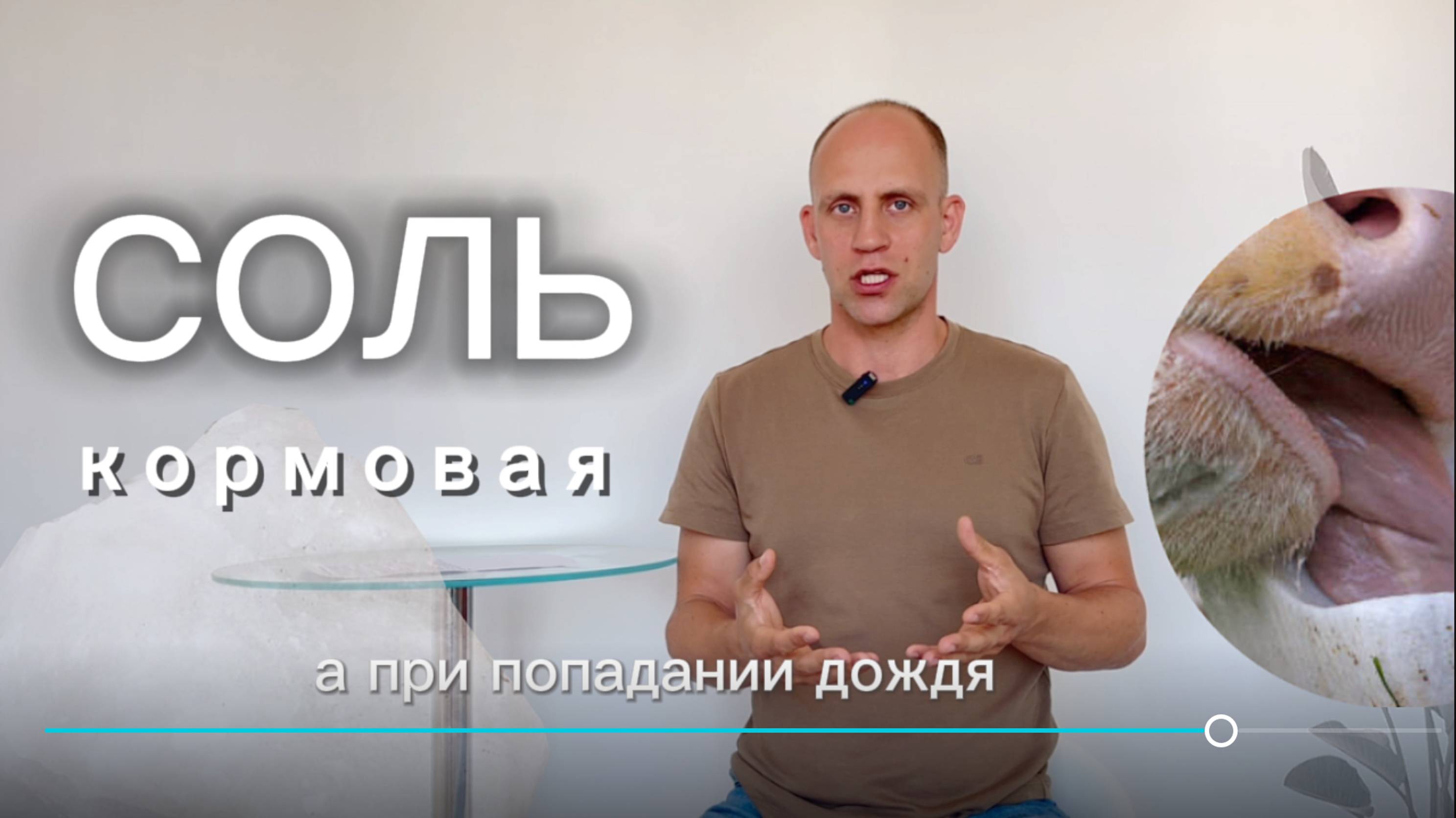 Соль кормовая в молочном животноводстве