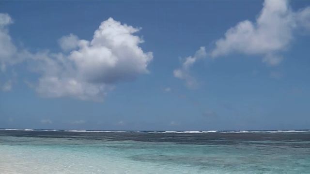 Bird Island - wb - Seychelles смотреть онлайн
