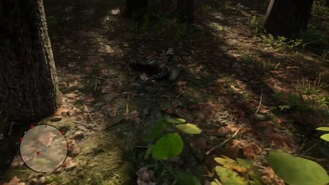 Red Dead Redemption 2 Трупы беглых заключенных смотреть онлайн