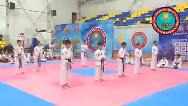 Аттестация Глобальная Федерация Таеквон-до Республики Казахстан. смотреть онлайн
