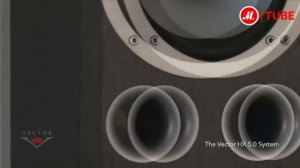 Комплект акустических систем Vector HX 5.0