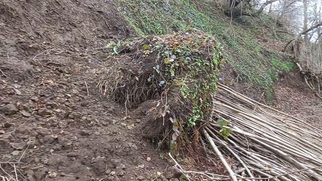 Там на неведомых дорожках, следы невиданных зверей смотреть онлайн