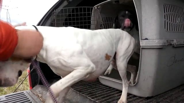 Страсть полей Одержимые смотреть онлайн