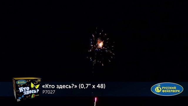 Фейерверк Р7027 "Кто здесь?" (0,7" х 48 залпов) смотреть онлайн