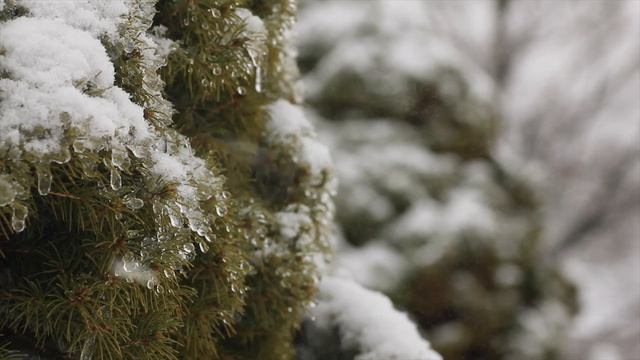 «ВРЕМЯ ТИХОЙ ЛЮБВИ» Видео очень красивой музыки для души - Зимний день смотреть онлайн